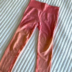 leggings gym shark seamless